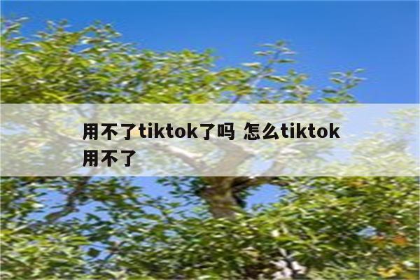 用不了tiktok了吗 怎么tiktok用不了