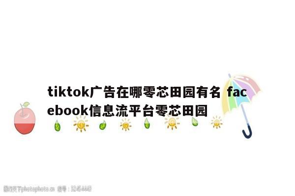 tiktok广告在哪零芯田园有名 facebook信息流平台零芯田园