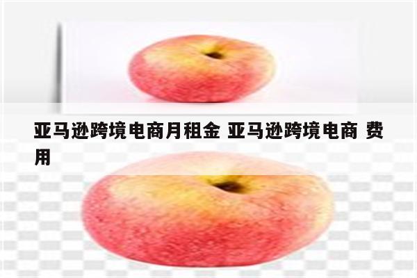 亚马逊跨境电商月租金 亚马逊跨境电商 费用