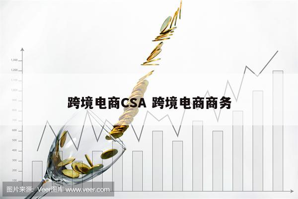 跨境电商CSA 跨境电商商务