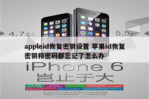 appleid恢复密钥设置 苹果id恢复密钥和密码都忘记了怎么办