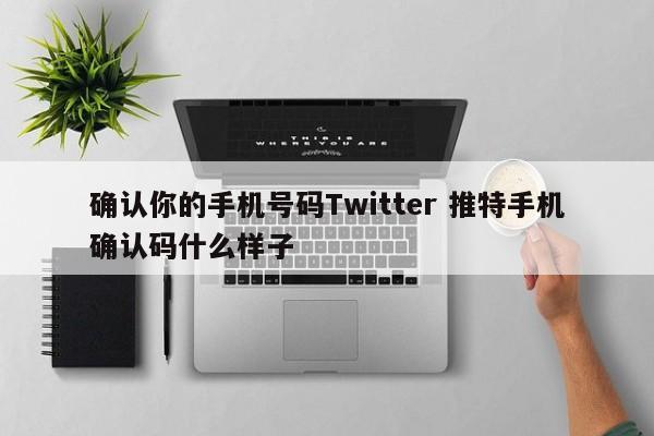 确认你的手机号码Twitter 推特手机确认码什么样子