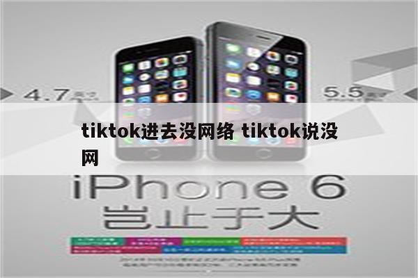tiktok进去没网络 tiktok说没网
