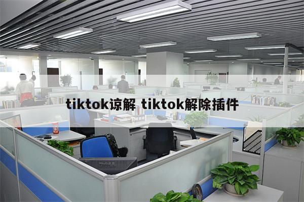 tiktok谅解 tiktok解除插件