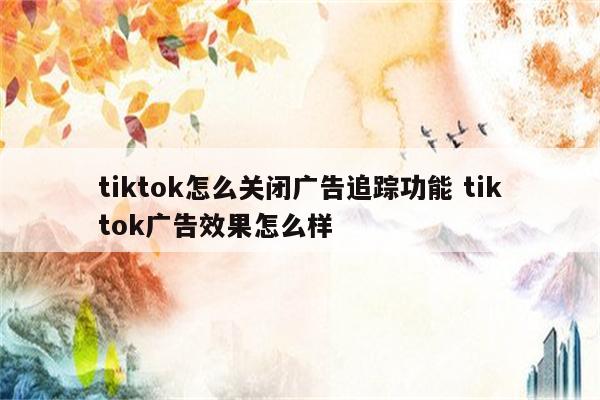 tiktok怎么关闭广告追踪功能 tiktok广告效果怎么样