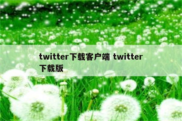 twitter下载客户端 twitter下载版