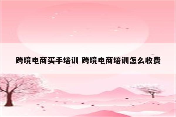 跨境电商买手培训 跨境电商培训怎么收费