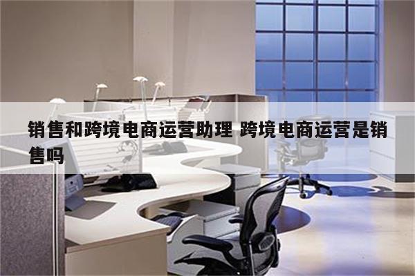 销售和跨境电商运营助理 跨境电商运营是销售吗