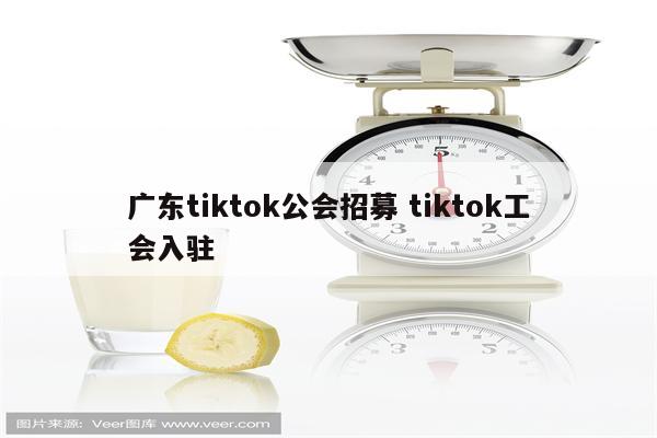 广东tiktok公会招募 tiktok工会入驻