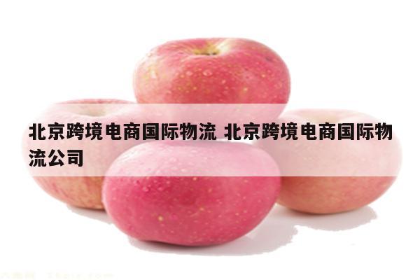 北京跨境电商国际物流 北京跨境电商国际物流公司