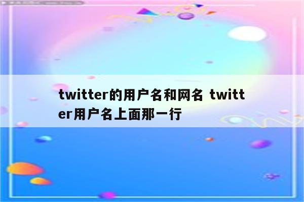 twitter的用户名和网名 twitter用户名上面那一行