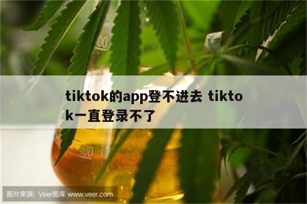 tiktok的app登不进去 tiktok一直登录不了
