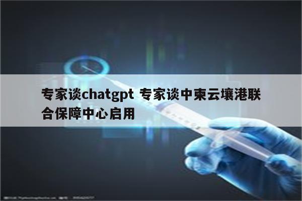 专家谈chatgpt 专家谈中柬云壤港联合保障中心启用