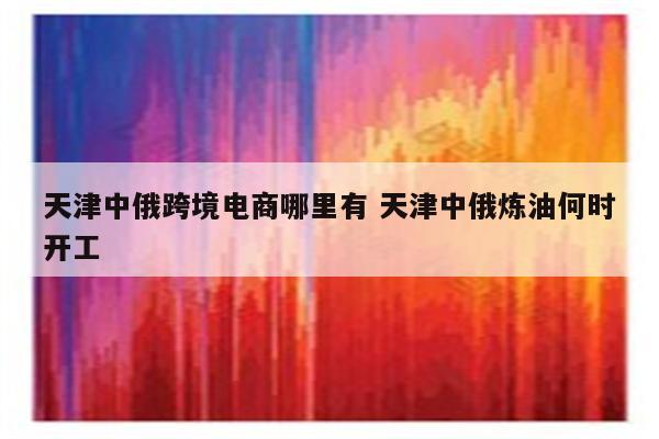 天津中俄跨境电商哪里有 天津中俄炼油何时开工