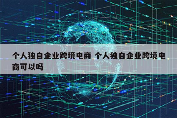个人独自企业跨境电商 个人独自企业跨境电商可以吗