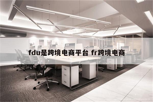 fdu是跨境电商平台 fr跨境电商