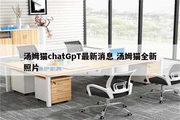 汤姆猫chatGpT最新消息 汤姆猫全新照片