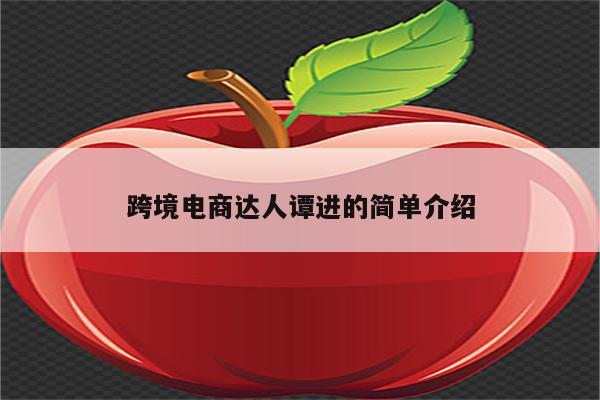 跨境电商达人谭进的简单介绍