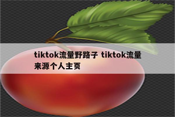 tiktok流量野路子 tiktok流量来源个人主页