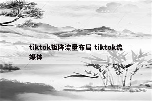 tiktok矩阵流量布局 tiktok流媒体