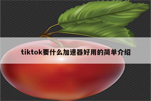 tiktok要什么加速器好用的简单介绍