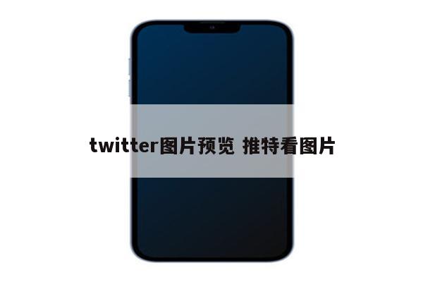 twitter图片预览 推特看图片