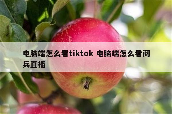 电脑端怎么看tiktok 电脑端怎么看阅兵直播