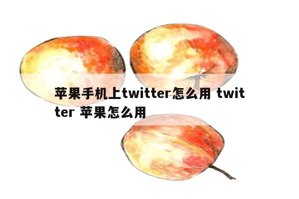 苹果手机上twitter怎么用 twitter 苹果怎么用