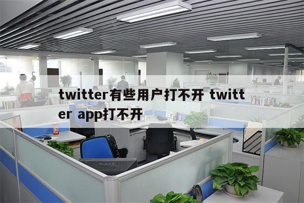 twitter有些用户打不开 twitter app打不开