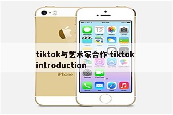 tiktok与艺术家合作 tiktok introduction