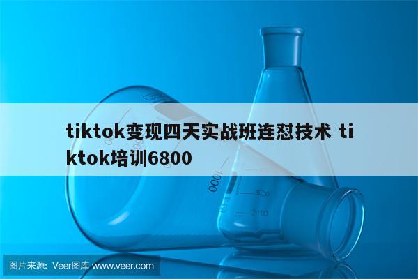 tiktok变现四天实战班连怼技术 tiktok培训6800