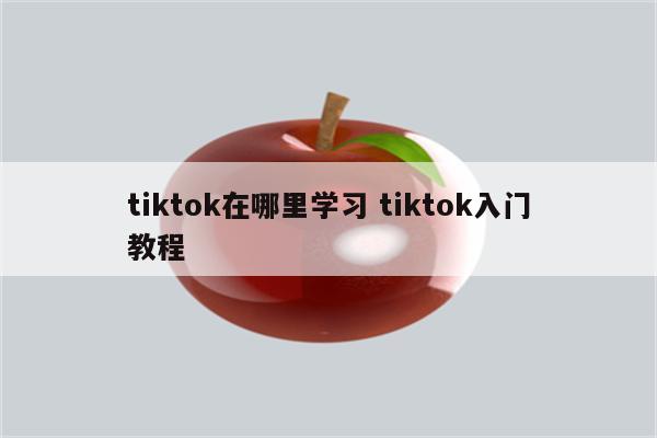 tiktok在哪里学习 tiktok入门教程