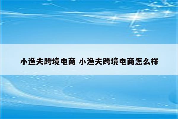 小渔夫跨境电商 小渔夫跨境电商怎么样