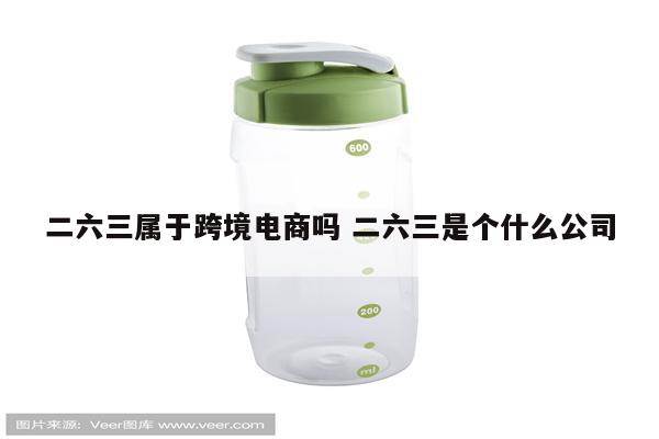 二六三属于跨境电商吗 二六三是个什么公司