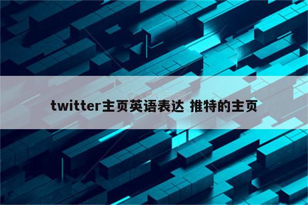 twitter主页英语表达 推特的主页