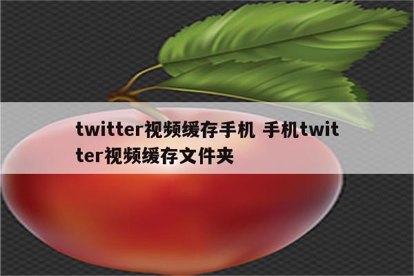 twitter视频缓存手机 手机twitter视频缓存文件夹