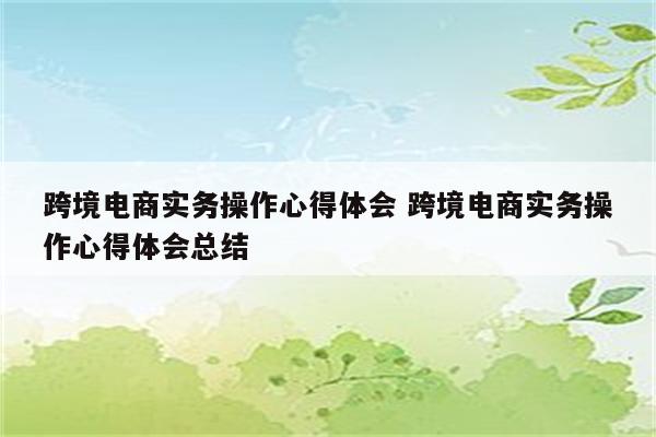 跨境电商实务操作心得体会 跨境电商实务操作心得体会总结