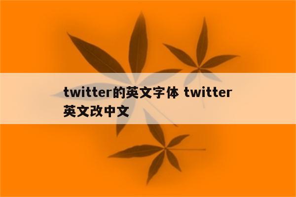 twitter的英文字体 twitter英文改中文