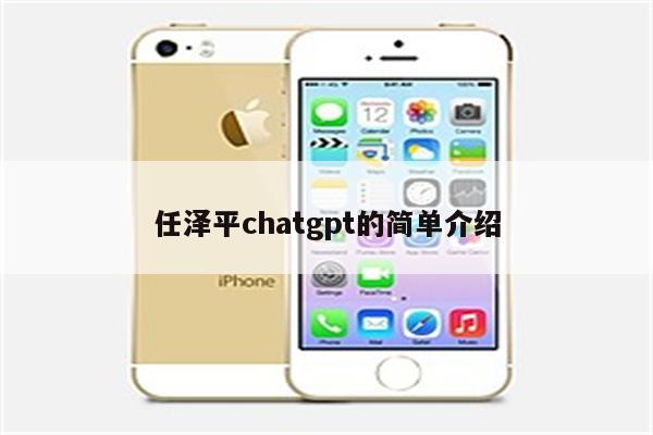 任泽平chatgpt的简单介绍