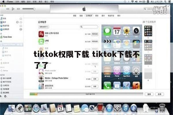 tiktok权限下载 tiktok下载不了了