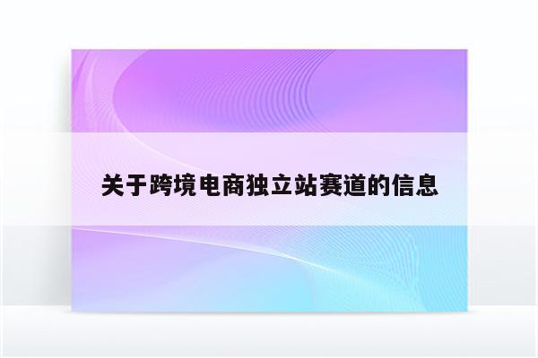 关于跨境电商独立站赛道的信息
