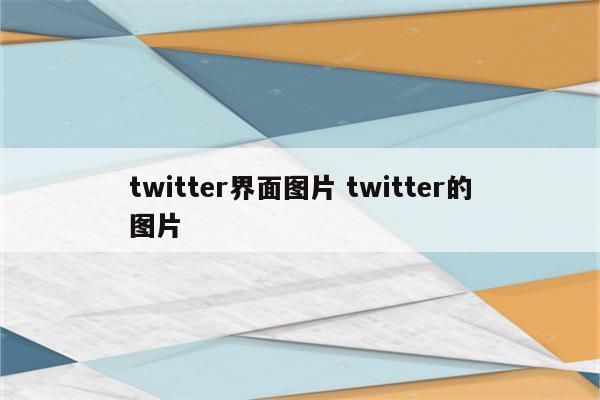 twitter界面图片 twitter的图片