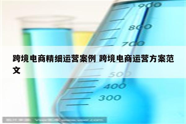 跨境电商精细运营案例 跨境电商运营方案范文