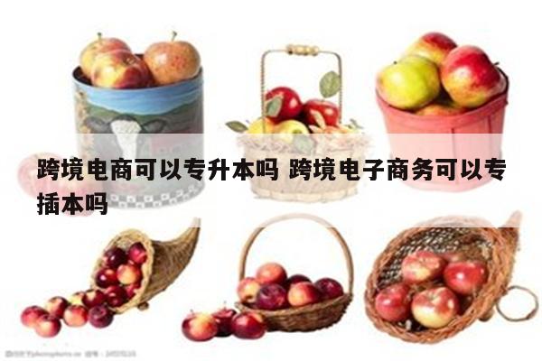 跨境电商可以专升本吗 跨境电子商务可以专插本吗