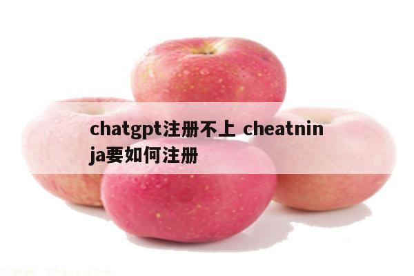chatgpt注册不上 cheatninja要如何注册