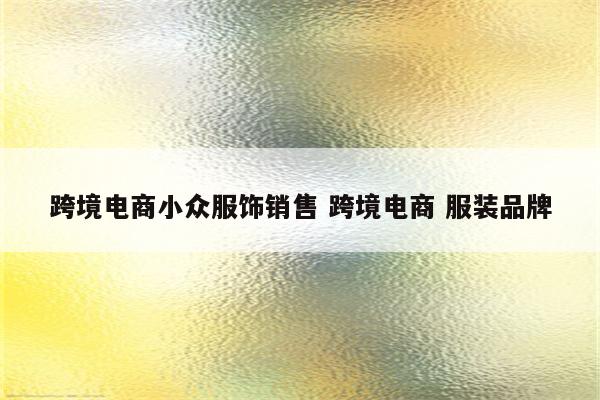 跨境电商小众服饰销售 跨境电商 服装品牌