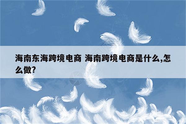 海南东海跨境电商 海南跨境电商是什么,怎么做?