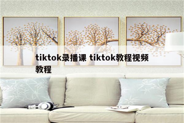 tiktok录播课 tiktok教程视频教程
