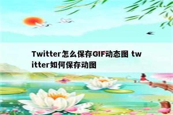 Twitter怎么保存GIF动态图 twitter如何保存动图