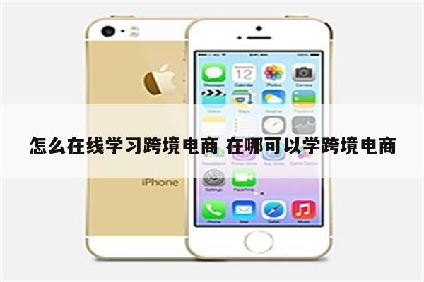 怎么在线学习跨境电商 在哪可以学跨境电商